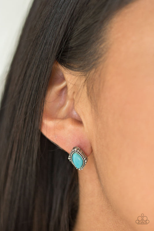 A House Is Not A HOMESTEAD - Blue Earrings